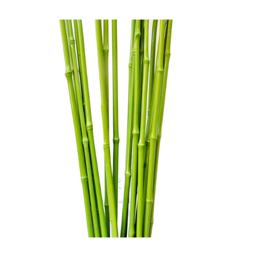 Essência de Bambu para Sabonete - 100ml