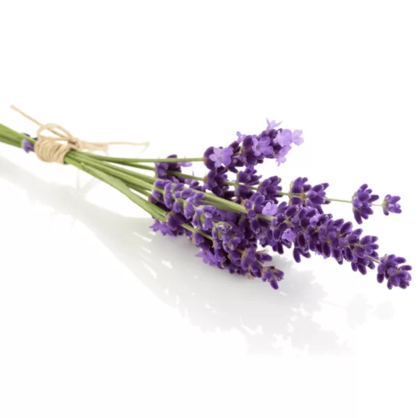 Essência para Velas de Lavanda